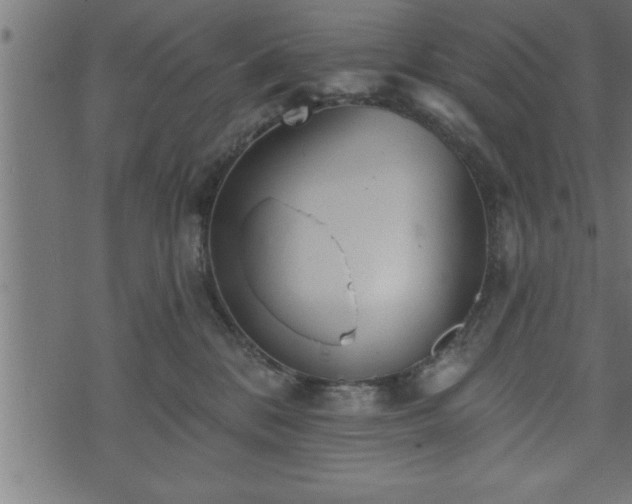 X0000073890328200608180940