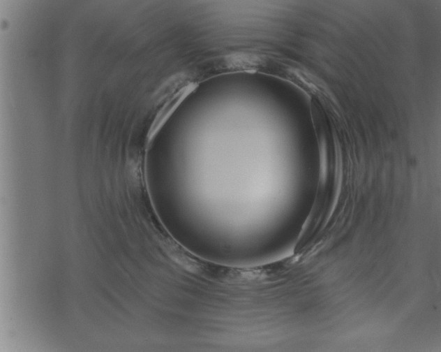 X0000073890329200608180940