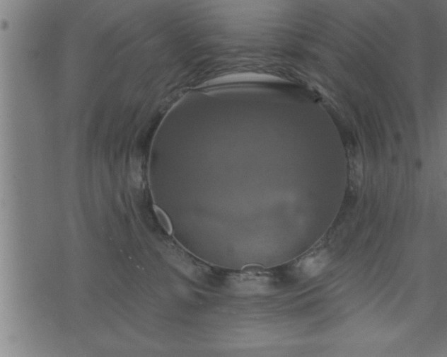 X0000073890331200608180940