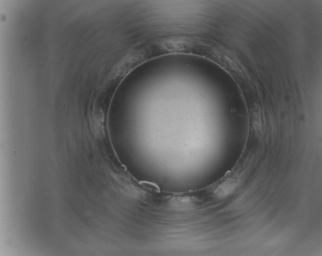 X0000073890332200608180940