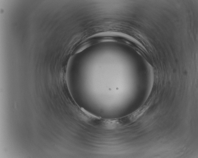 X0000073890333200608180940