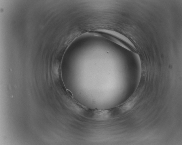 X0000073890334200608180940