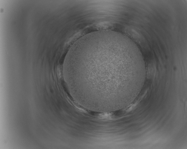 X0000073890335200608180940