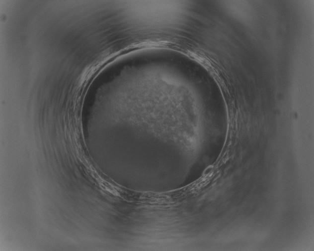 X0000073890337200608180939