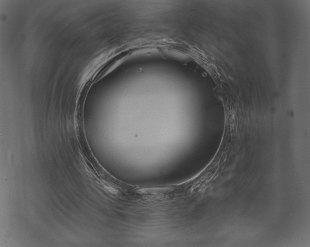 X0000073890340200608180939