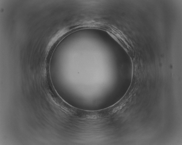 X0000073890344200608180939