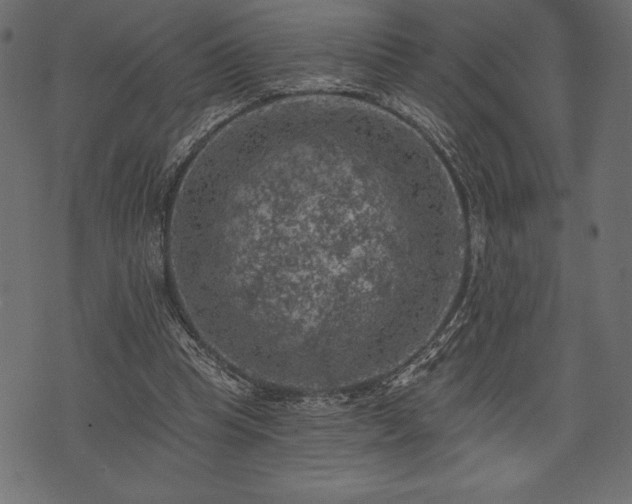 X0000073890345200608180939