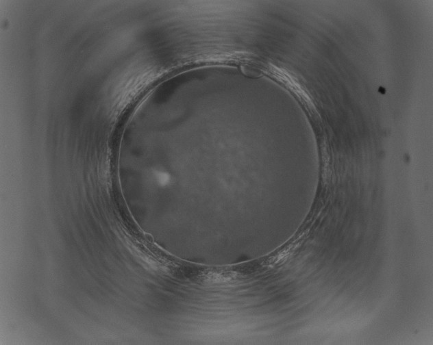 X0000073890346200608180939