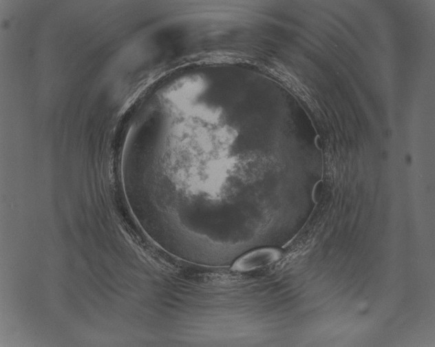 X0000073890347200608180939