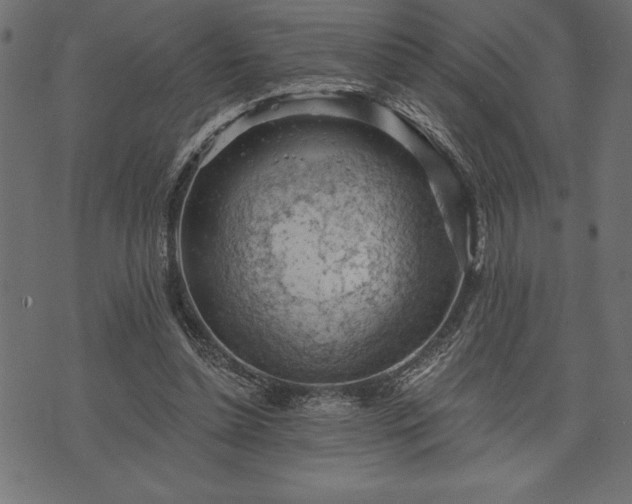 X0000073890348200608180939