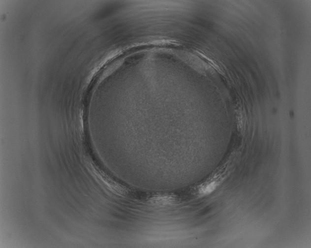 X0000073890350200608180939