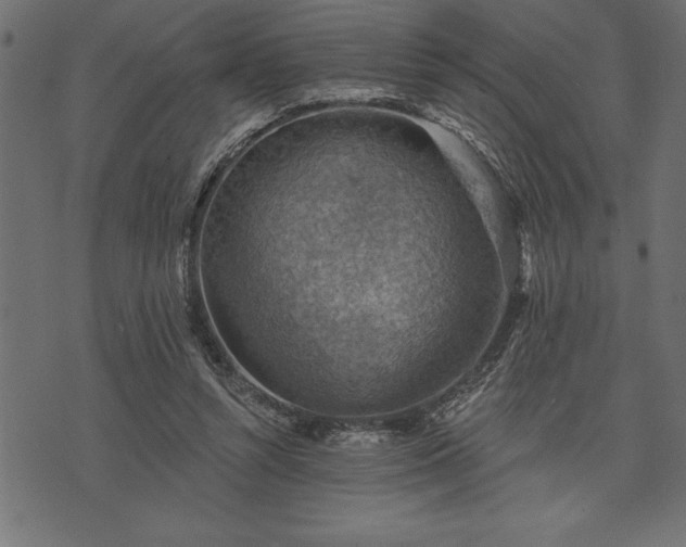 X0000073890352200608180939