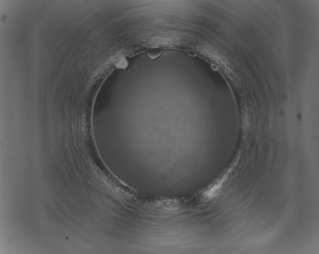 X0000073890353200608180939