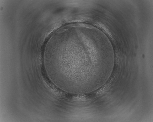 X0000073890354200608180939