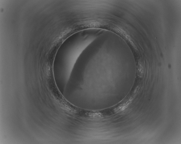 X0000073890355200608180939