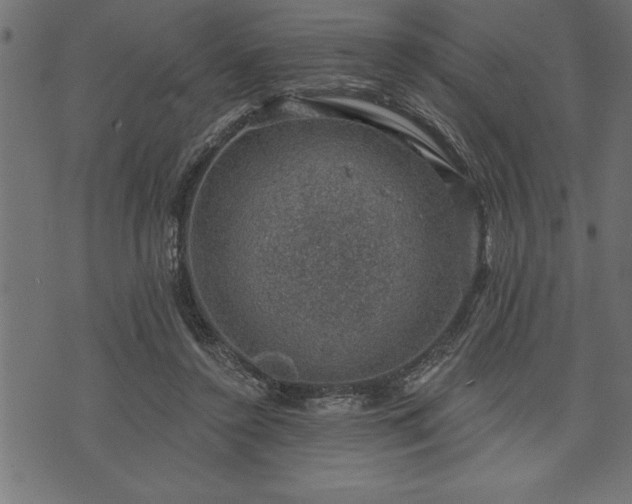 X0000073890356200608180939