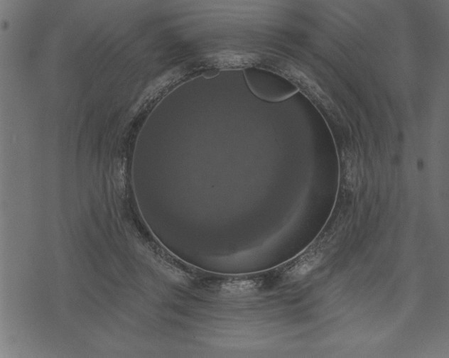 X0000073890357200608180939