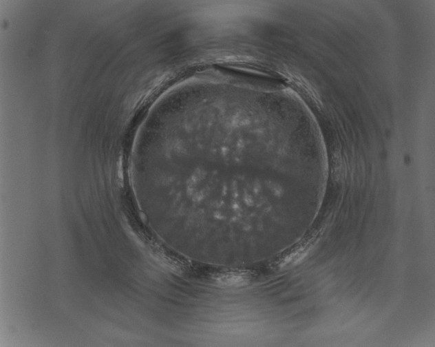 X0000073890358200608180939