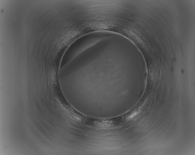 X0000073890359200608180939