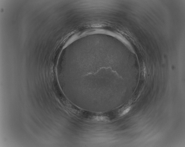 X0000073890360200608180939