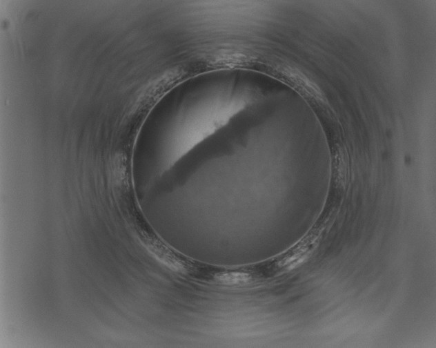 X0000073890361200608180939