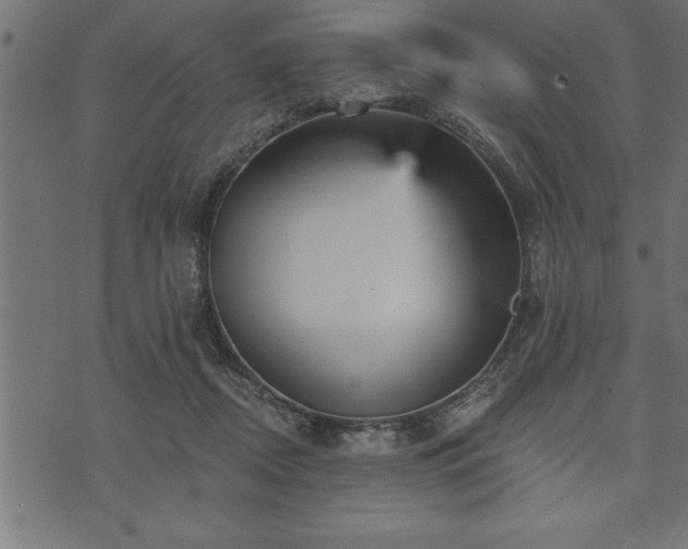 X0000073890362200608180939