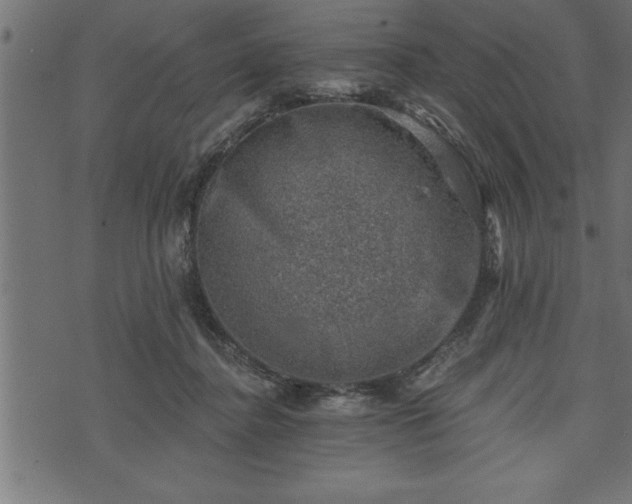 X0000073890364200608180939