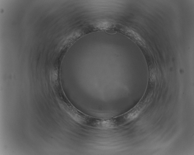 X0000073890365200608180939