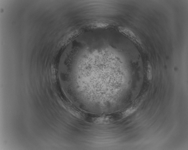 X0000073890366200608180939