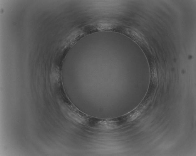 X0000073890367200608180939