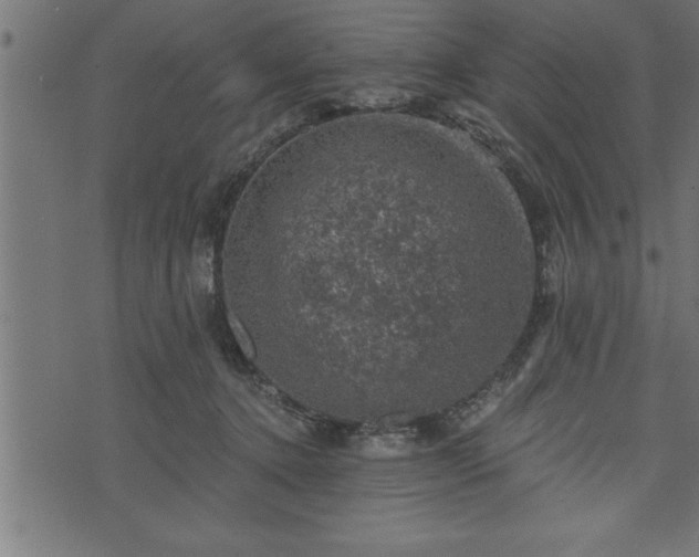 X0000073890368200608180939