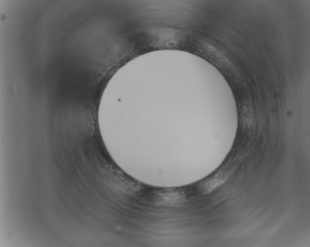 X0000073890370200608180939