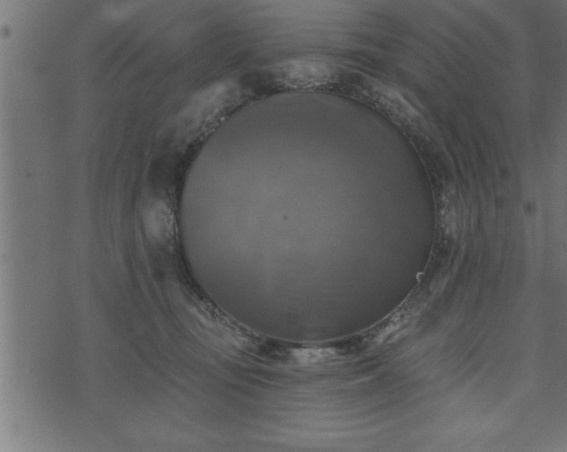 X0000073890371200608180939