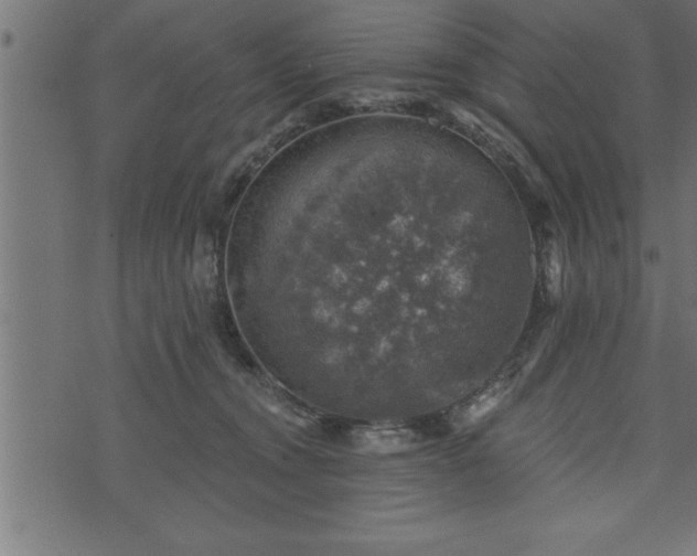 X0000073890372200608180939