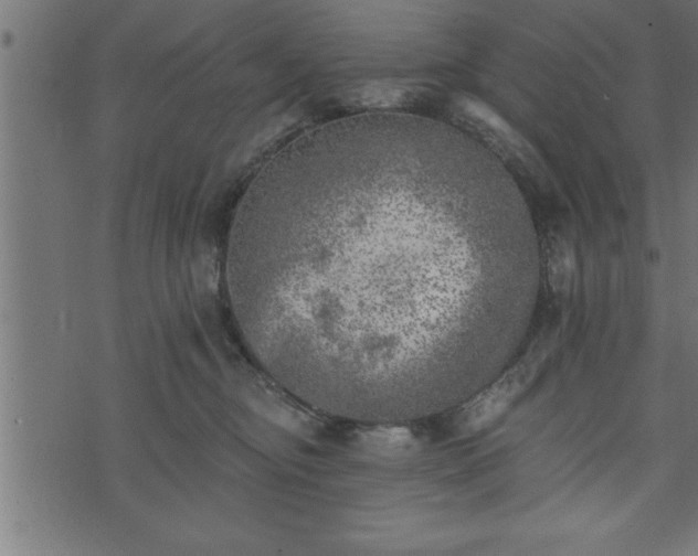 X0000073890374200608180939