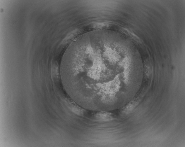 X0000073890375200608180940