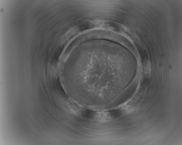 X0000073890376200608180940