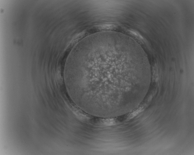 X0000073890377200608180940