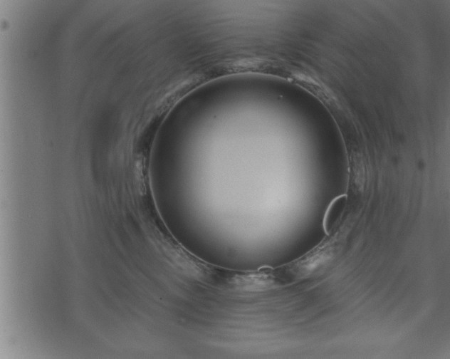 X0000073890378200608180940