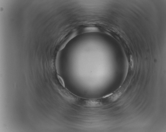 X0000073890380200608180940