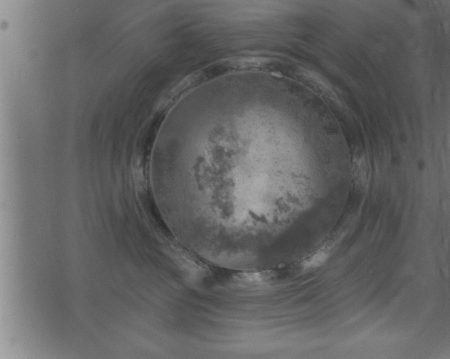 X0000073890381200608180940