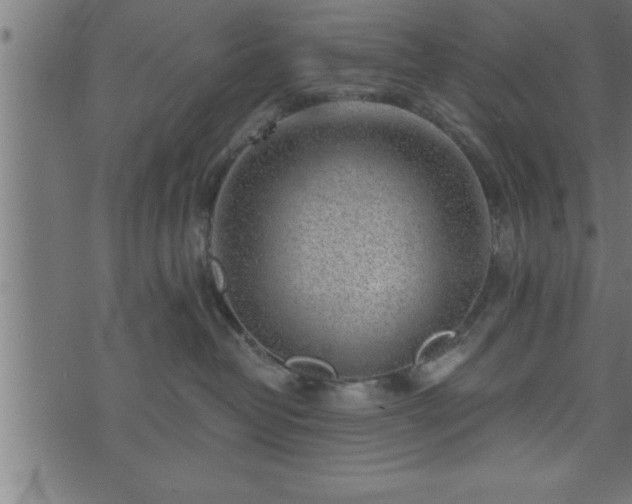 X0000073890382200608180940