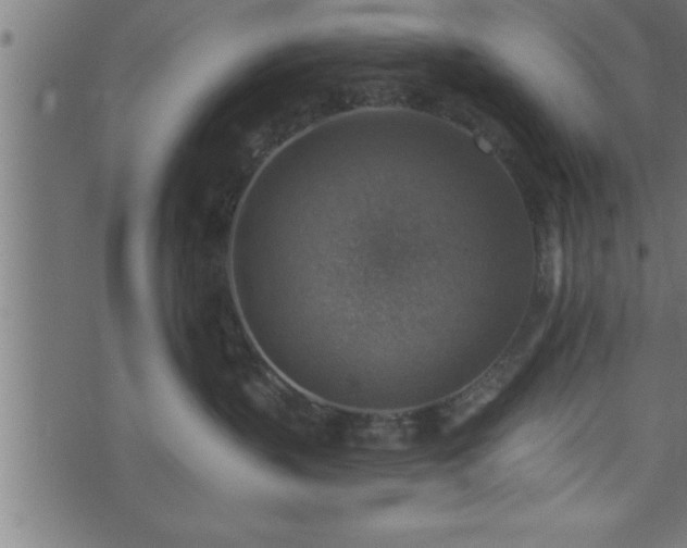 X0000073890383200608180940