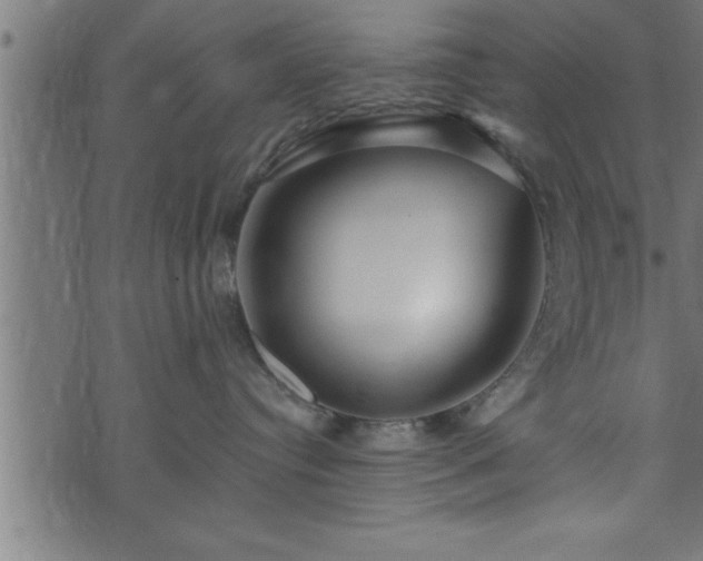 X0000073890384200608180940