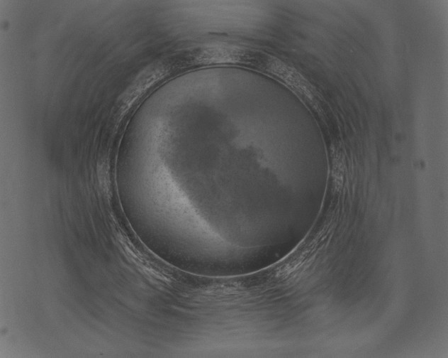 X0000073890386200608180939