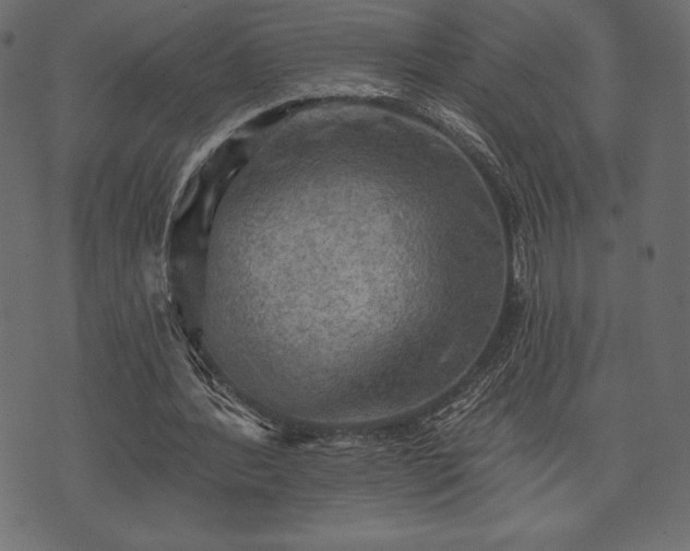 X0000073890388200608180939