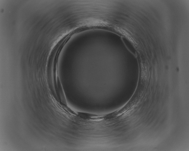 X0000073890391200608180939