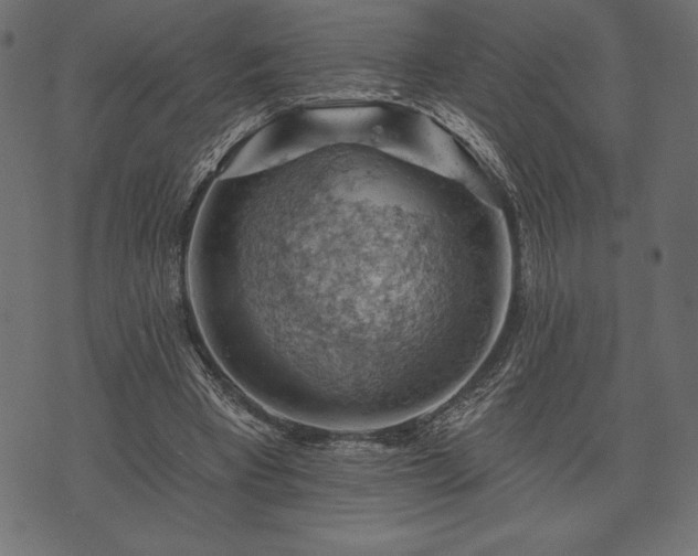 X0000073890393200608180939