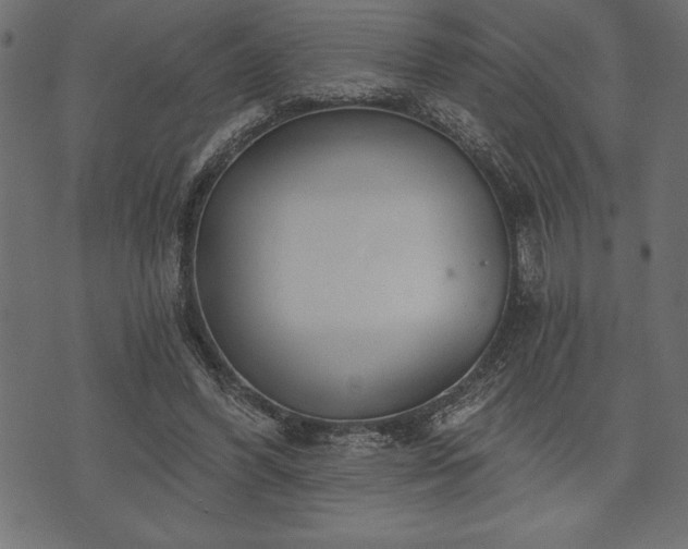 X0000073890396200608180939