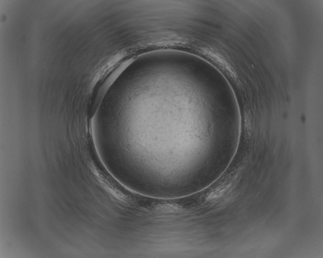 X0000073890397200608180939